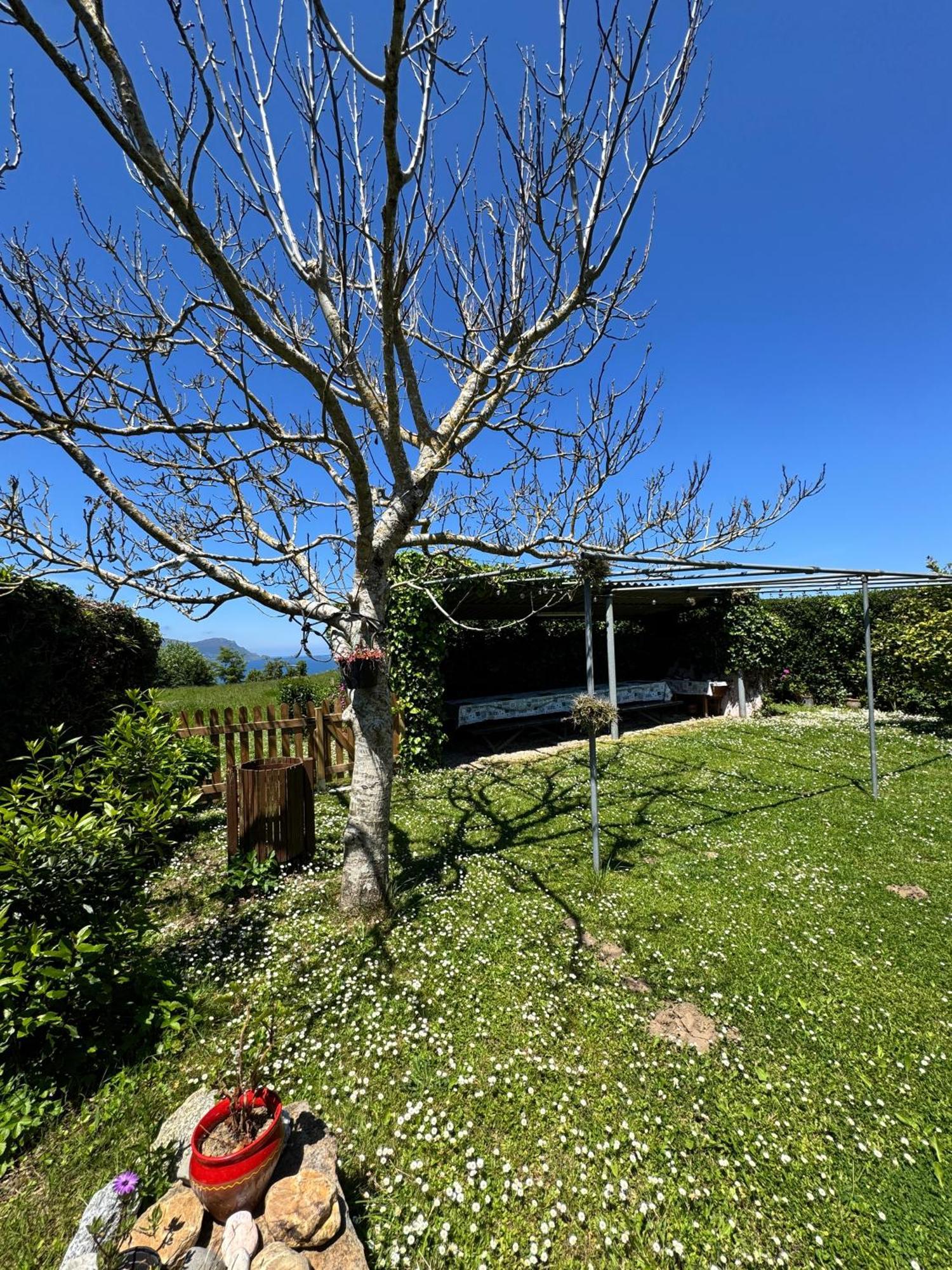 Villa O Cabaleiro Ortigueira Exterior foto